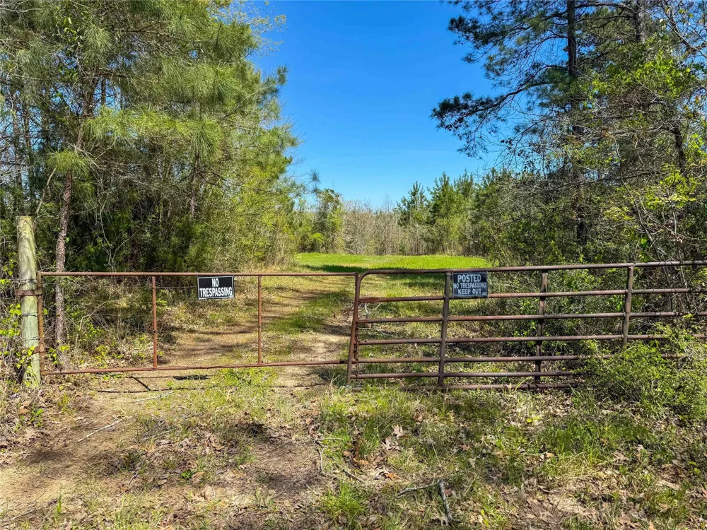 Fm 946 Coldspring, TX 77331
