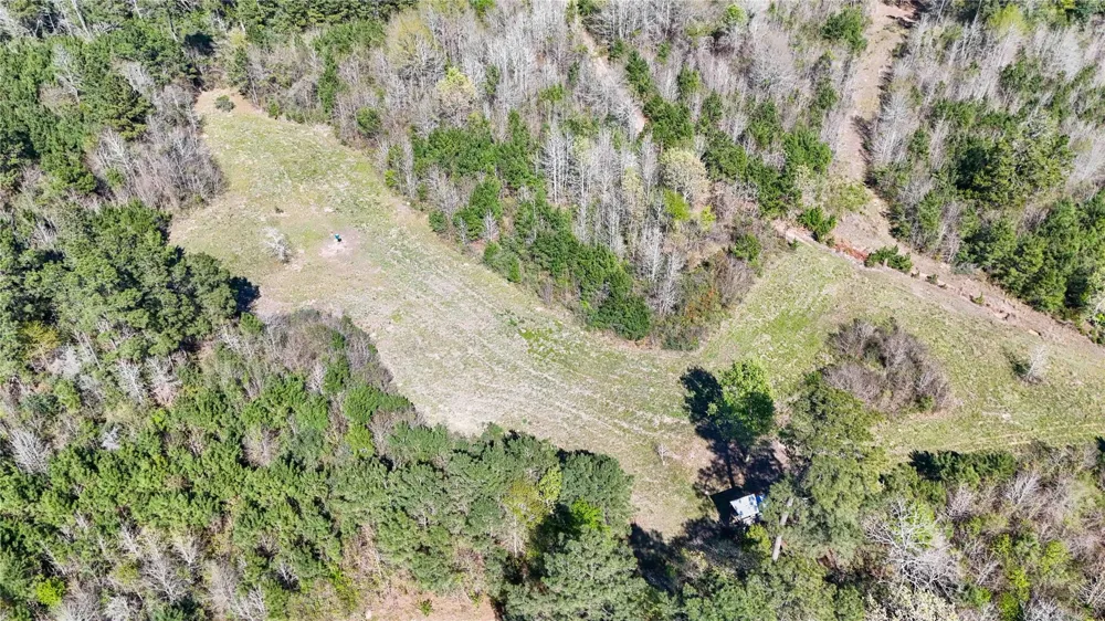 Fm 946 Coldspring, TX 77331