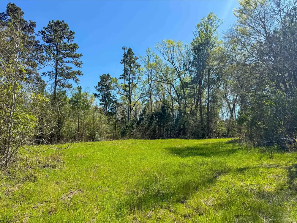 Fm 946 Coldspring, TX 77331