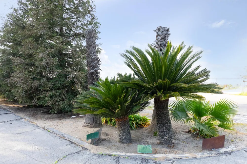 12265 E Dinuba Avenue Selma, CA 93662