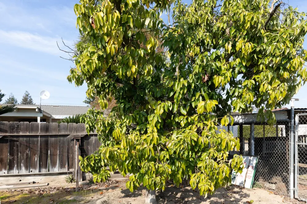12265 E Dinuba Avenue Selma, CA 93662
