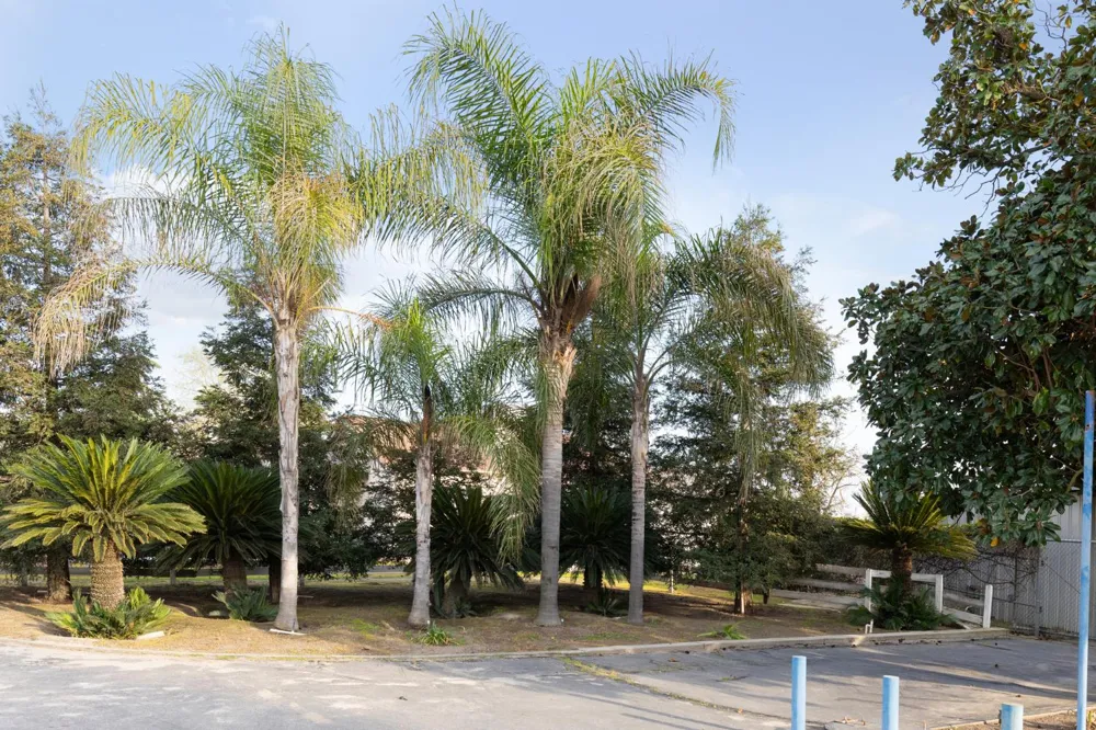 12265 E Dinuba Avenue Selma, CA 93662