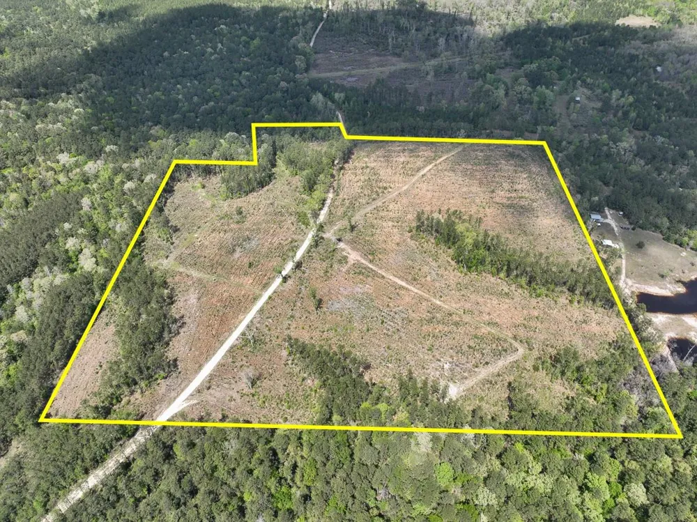 County Road 2834 Colmesneil, TX 75938