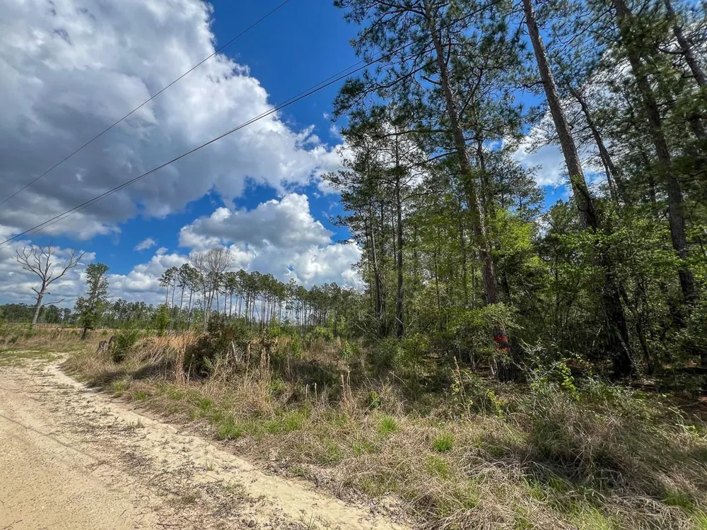 County Road 2834 Colmesneil, TX 75938
