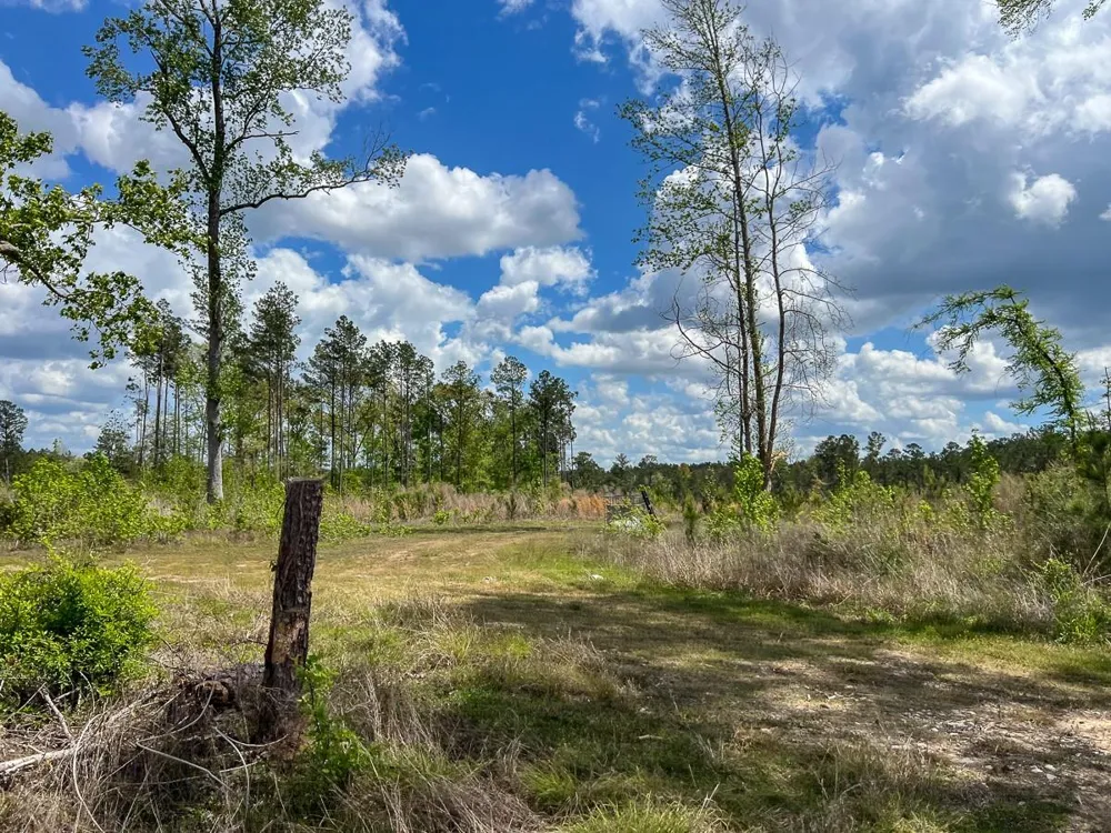 County Road 2834 Colmesneil, TX 75938