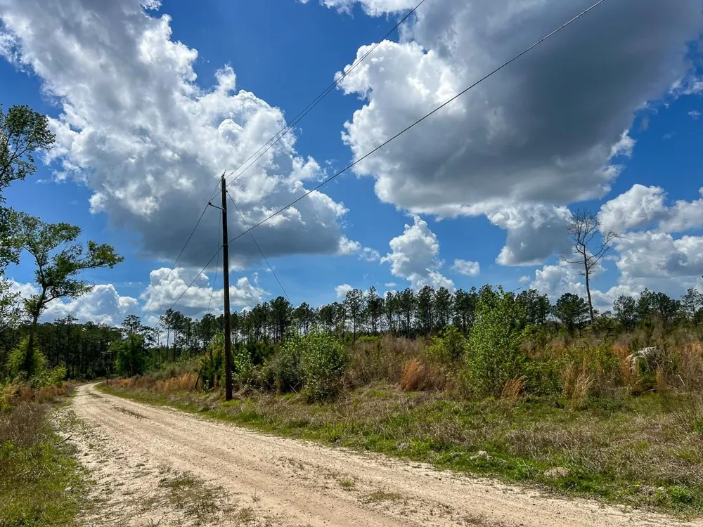 County Road 2834 Colmesneil, TX 75938