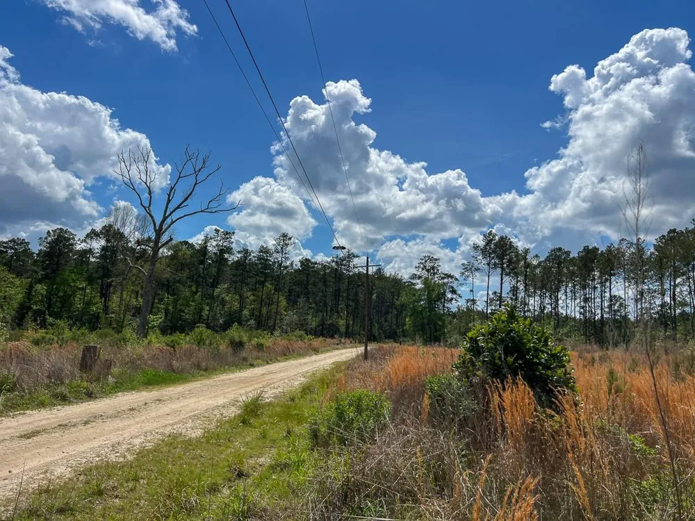 County Road 2834 Colmesneil, TX 75938