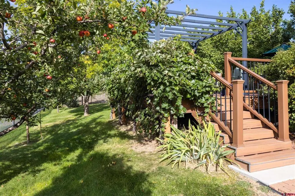 938 Ryan Court Hotchkiss, CO 81419