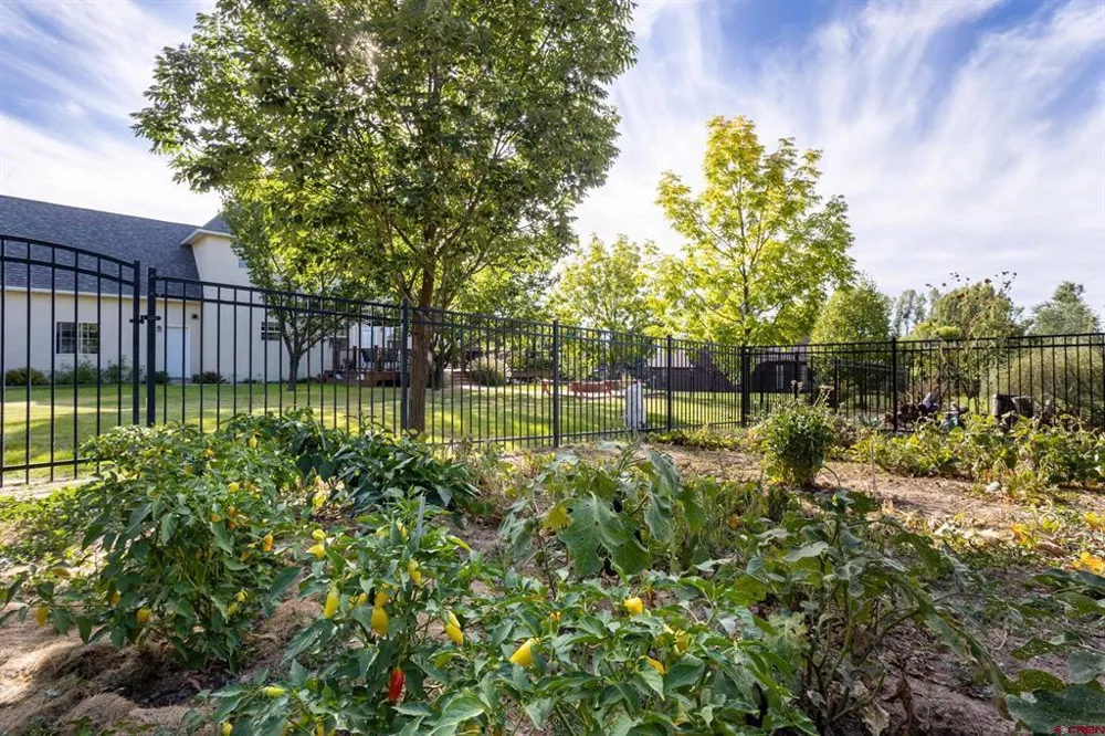 938 Ryan Court Hotchkiss, CO 81419