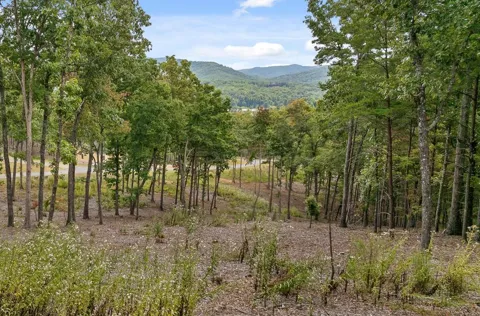Lot 88 Split Creek Road