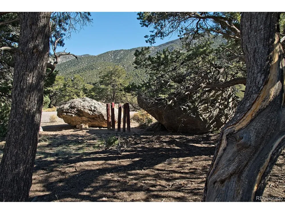 3572 Camino Baca Grande Crestone, CO 81131