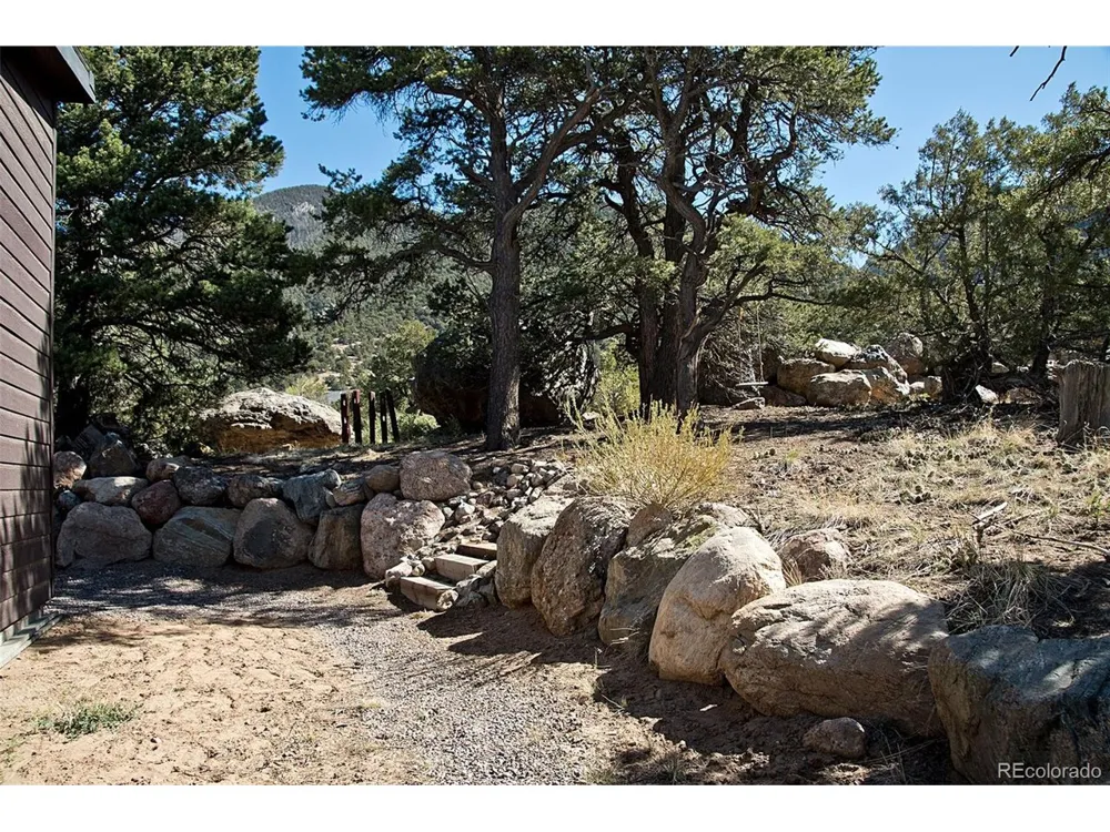 3572 Camino Baca Grande Crestone, CO 81131