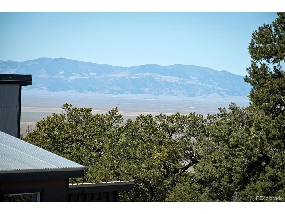 3572 Camino Baca Grande Crestone, CO 81131