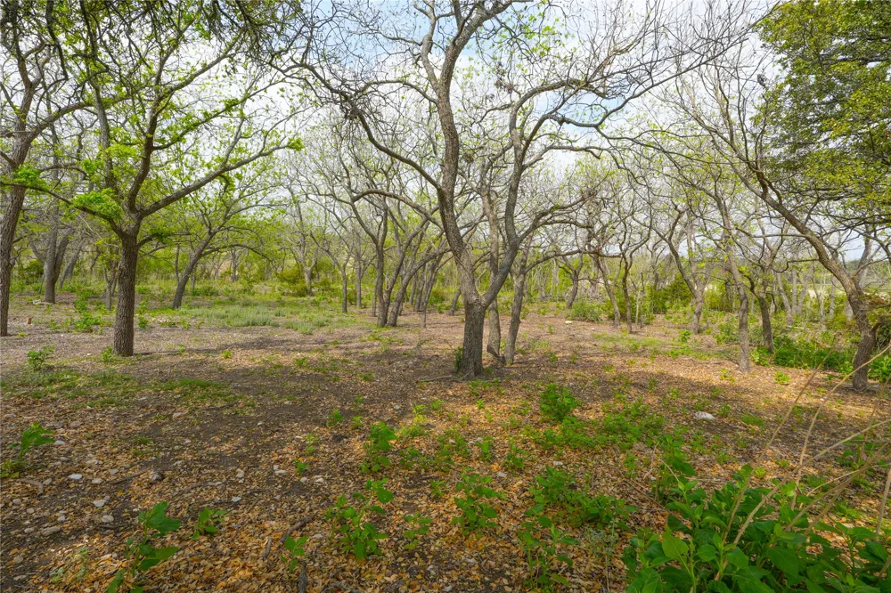 6980 Doss Spring Creek Road Fredericksburg, TX 78624