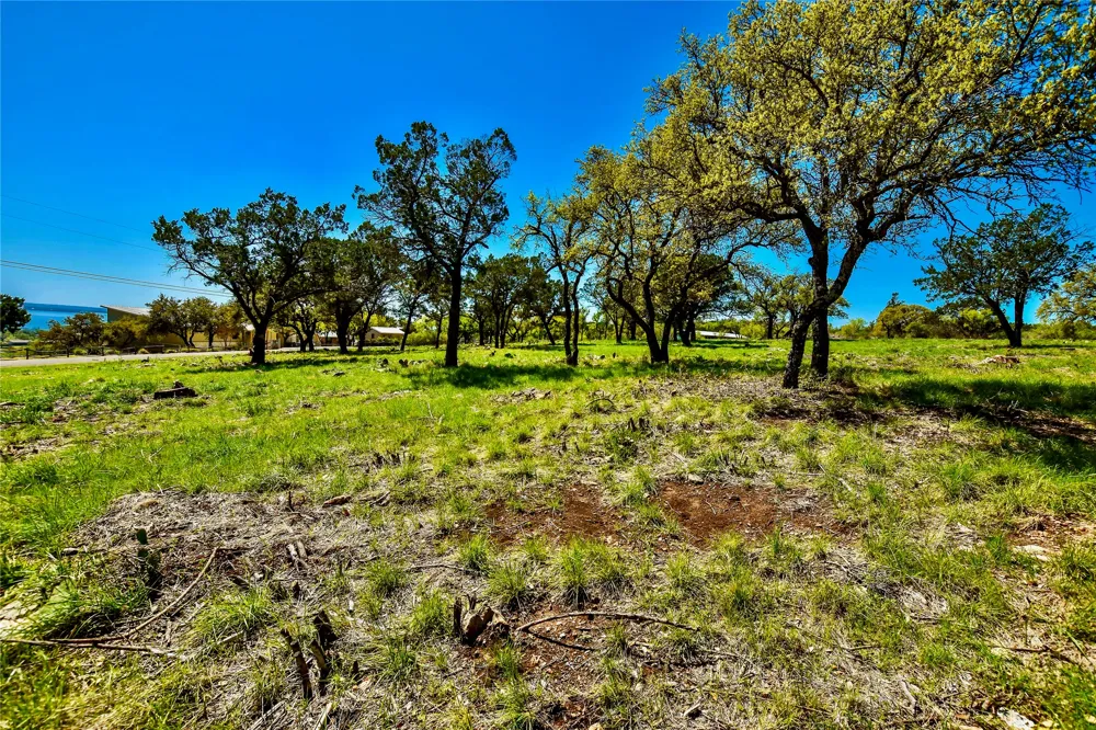 ED LOW DRIVE Burnet, TX 78611
