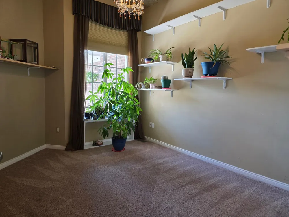 31637 Beaver Circle New Boston, MI 48164