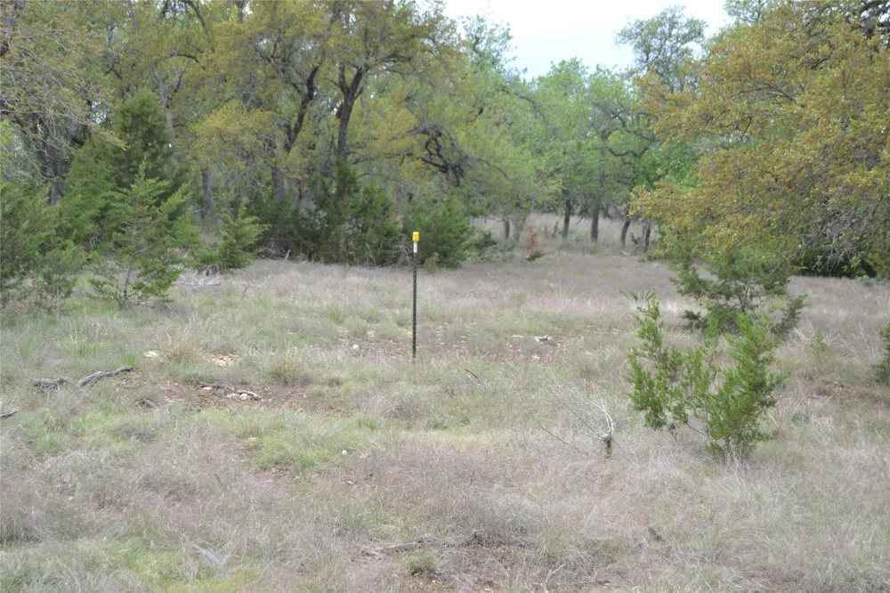 4016 McGregor Lane Dripping Springs, TX 78620