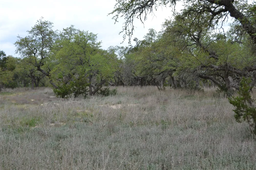 4016 McGregor Lane Dripping Springs, TX 78620