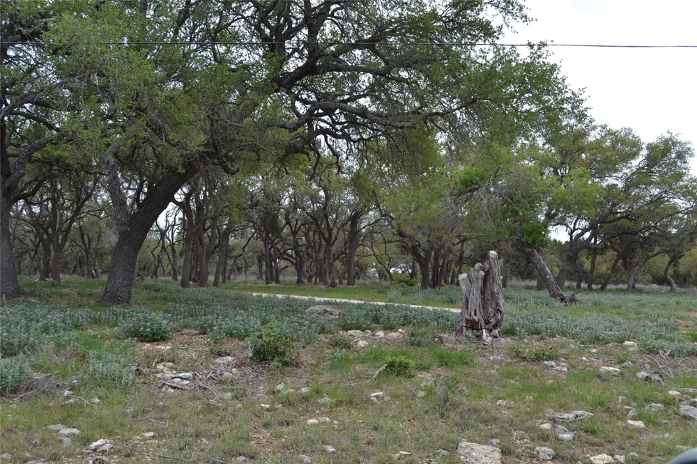 4016 McGregor Lane Dripping Springs, TX 78620