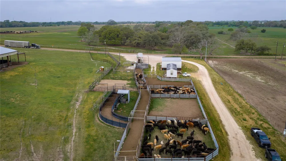 1119 Wolters Road Schulenburg, TX 78956