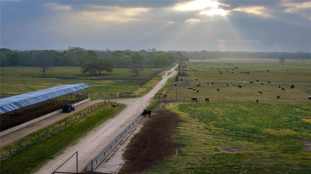 1119 Wolters Road Schulenburg, TX 78956