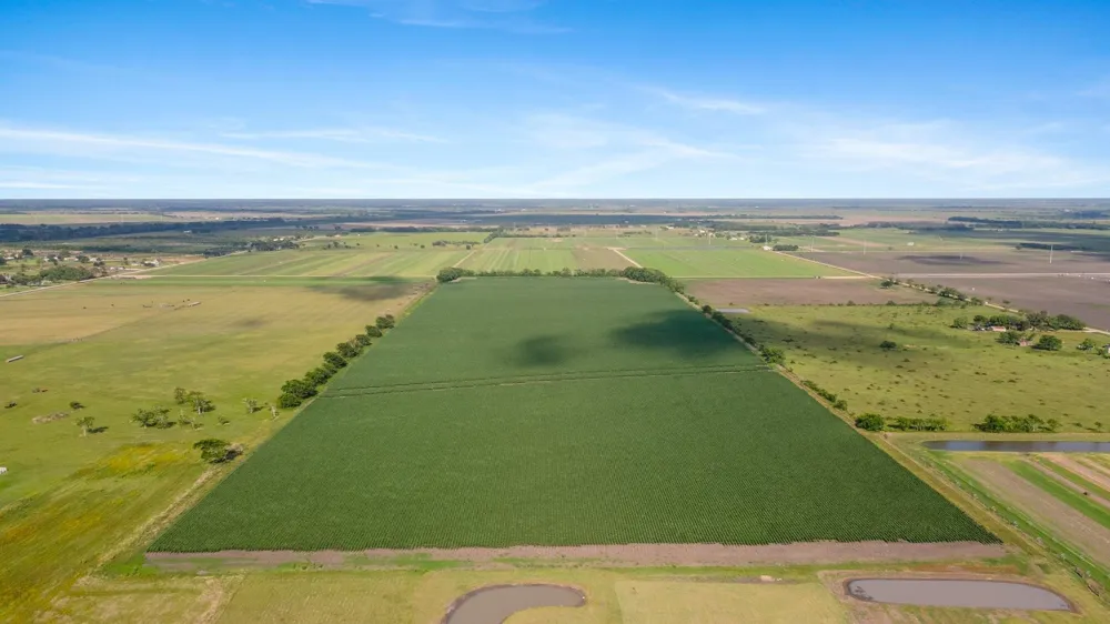 County Road 166 Bucks Bayou Road Bay City, TX 77414