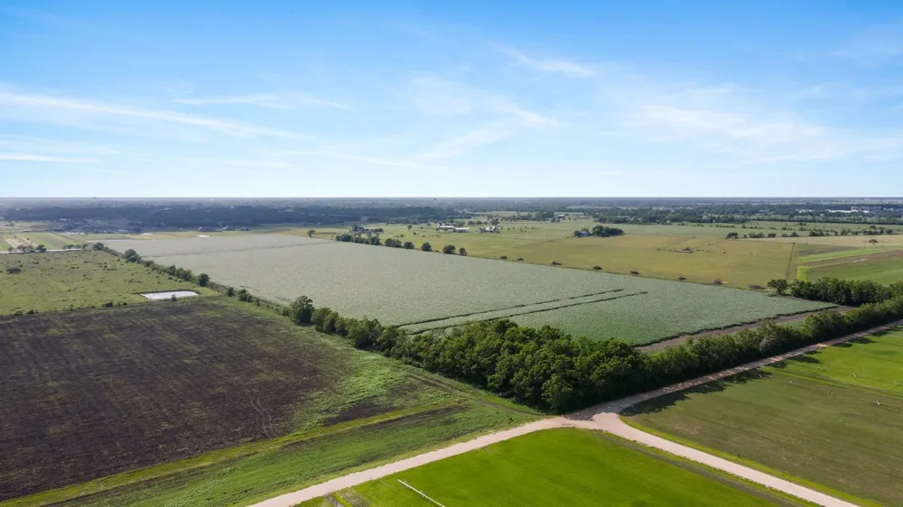 County Road 166 Bucks Bayou Road Bay City, TX 77414