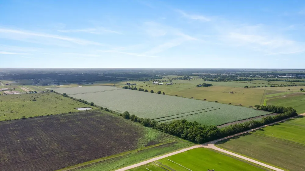 County Road 166 Bucks Bayou Road Bay City, TX 77414