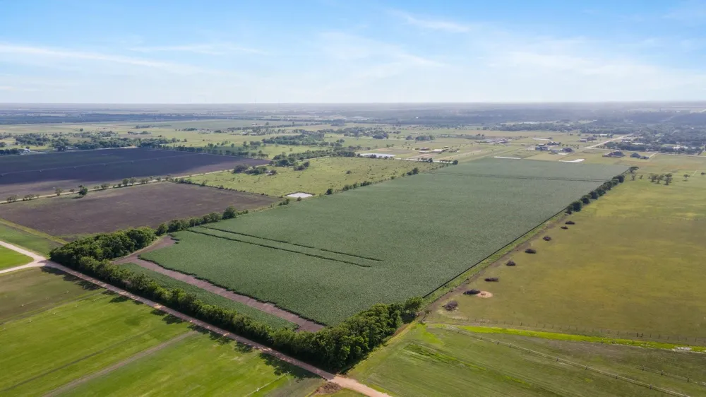 County Road 166 Bucks Bayou Road Bay City, TX 77414