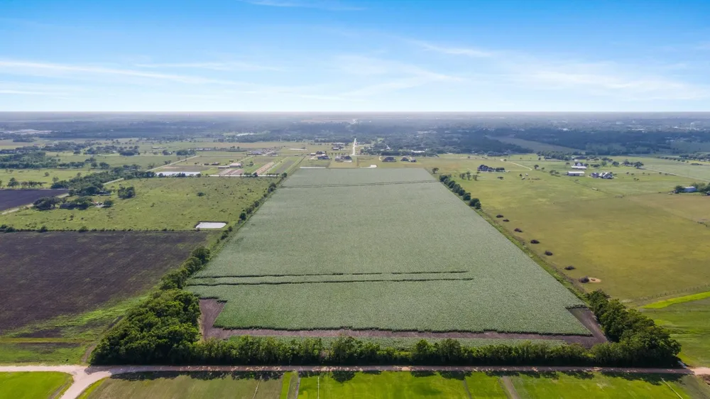 County Road 166 Bucks Bayou Road Bay City, TX 77414