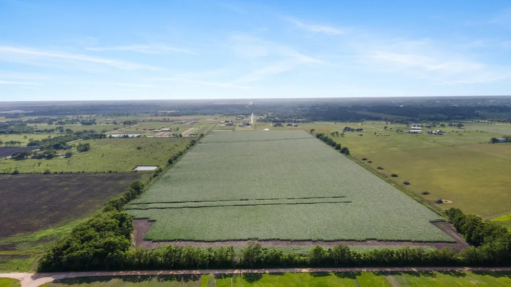 County Road 166 Bucks Bayou Road Bay City, TX 77414