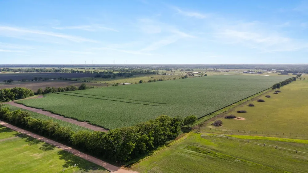 County Road 166 Bucks Bayou Road Bay City, TX 77414