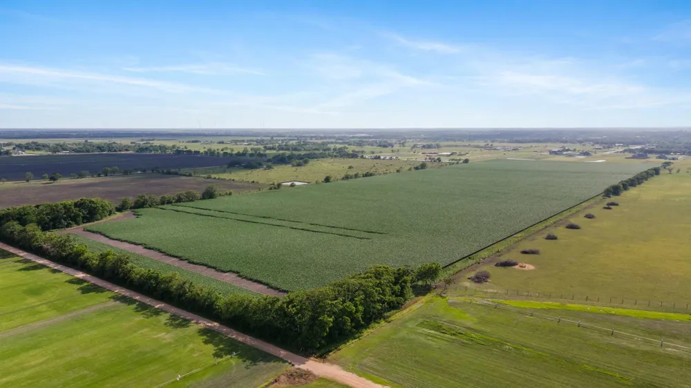 County Road 166 Bucks Bayou Road Bay City, TX 77414
