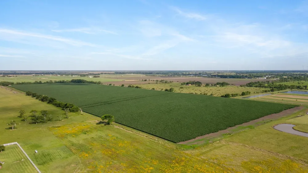 County Road 166 Bucks Bayou Road Bay City, TX 77414