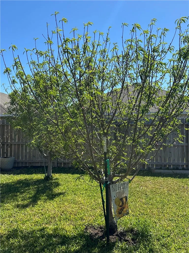 1813 Secretariat Drive Corpus Christi, TX 78417