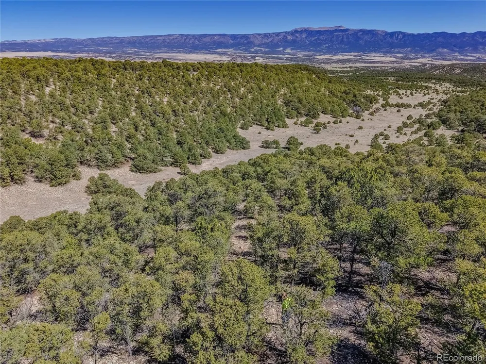204 Colorado Land & Grazing Gardner, CO 81040