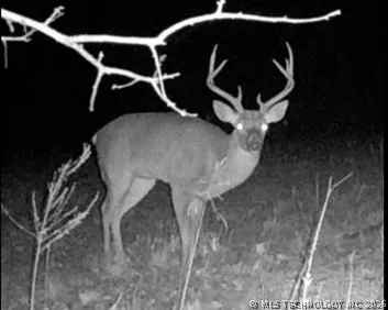 Norris Road Red Oak, OK 74563