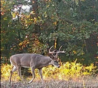 Norris Road Red Oak, OK 74563