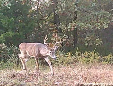 Norris Road Red Oak, OK 74563