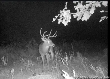 Norris Road Red Oak, OK 74563