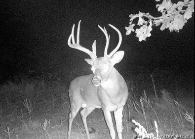 Norris Road Red Oak, OK 74563