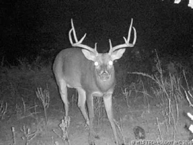Norris Road Red Oak, OK 74563