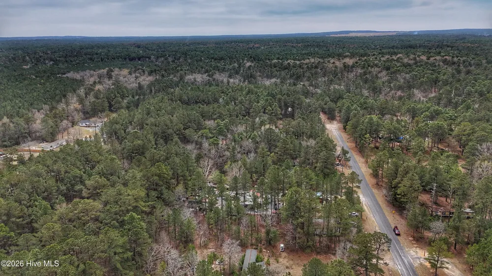 221 Riverview Drive Vass, NC 28394
