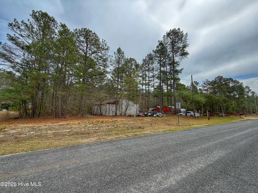221 Riverview Drive Vass, NC 28394
