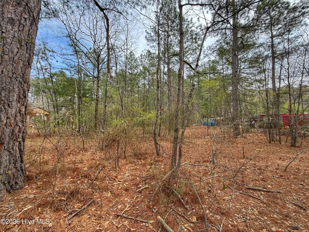 221 Riverview Drive Vass, NC 28394