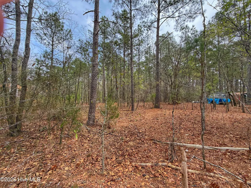 221 Riverview Drive Vass, NC 28394