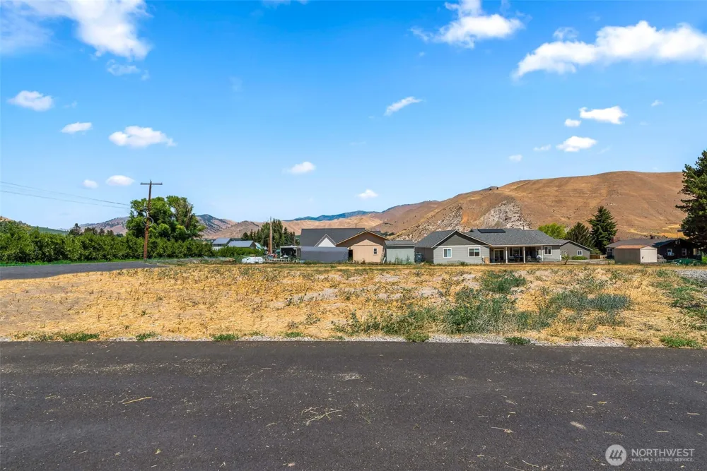 37 Penstemon Lane Monitor, WA 98836