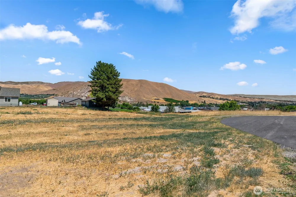 37 Penstemon Lane Monitor, WA 98836