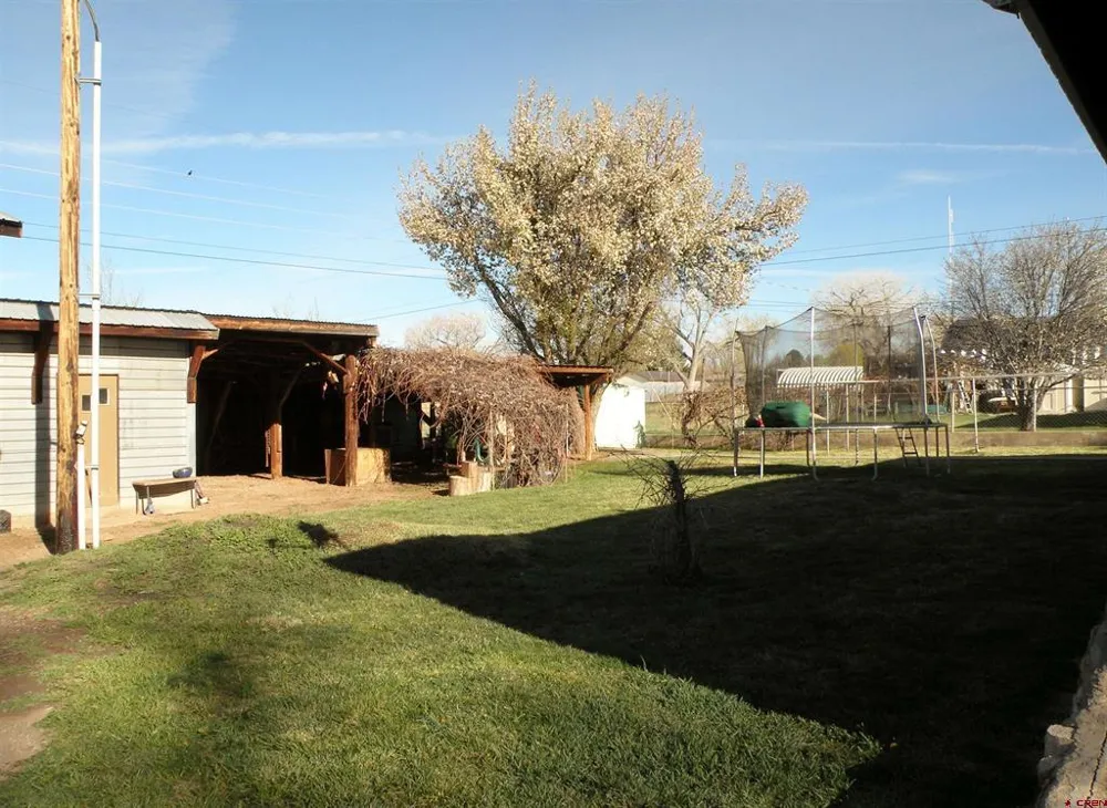810 Grape Street Nucla, CO 81424