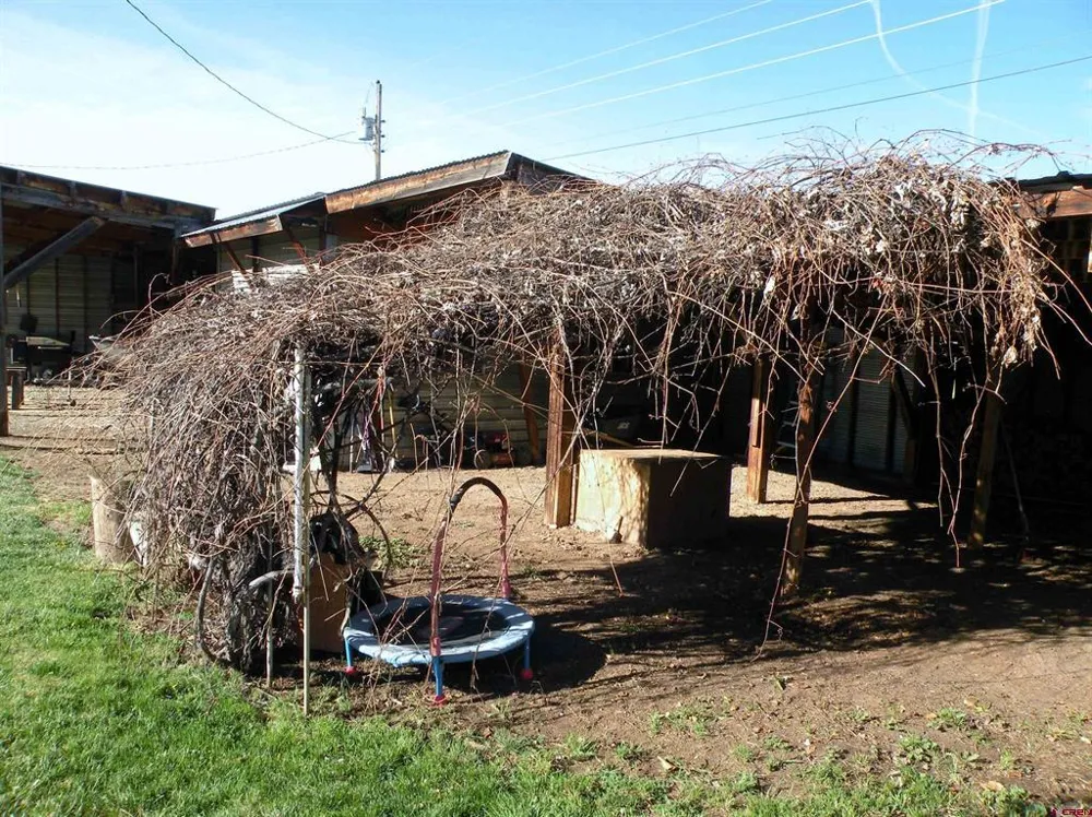 810 Grape Street Nucla, CO 81424